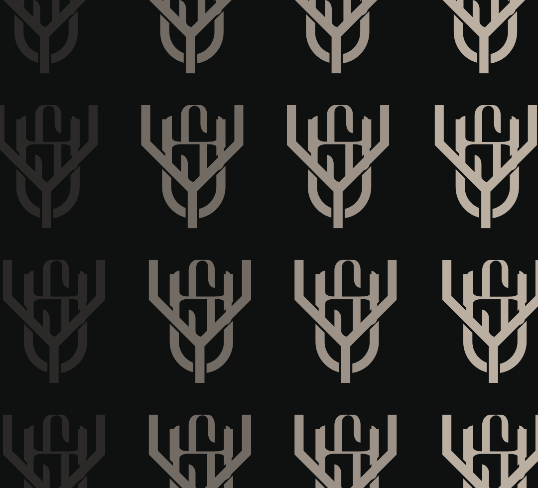 Brand Identity